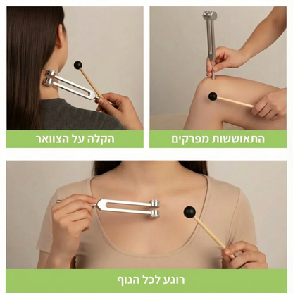 Kynofix – קולן ריפוי בתדר 128Hz | הקלה אמיתית שמורגשת תוך 3 דקות