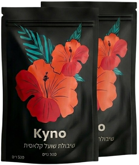 תה היביסקוס