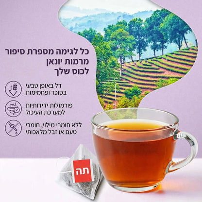 Kyno Tea – естественным образом богат антиоксидантами, помогает восстановить здоровье изнутри и снаружи