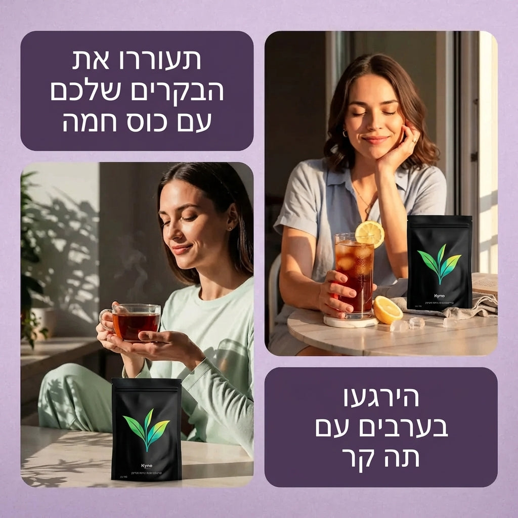 Kyno Tea – естественным образом богат антиоксидантами, помогает восстановить здоровье изнутри и снаружи