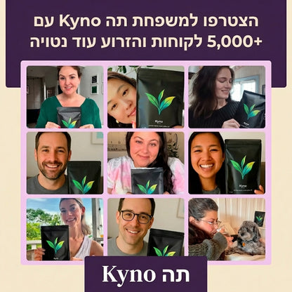 Kyno Tea – естественным образом богат антиоксидантами, помогает восстановить здоровье изнутри и снаружи