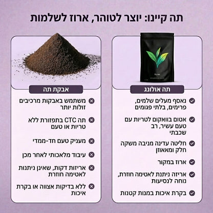 Kyno Tea – естественным образом богат антиоксидантами, помогает восстановить здоровье изнутри и снаружи