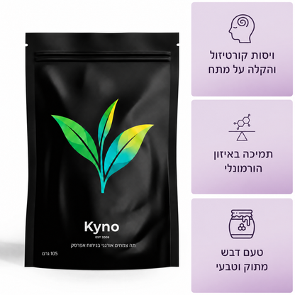 Kyno Tea – غني طبيعياً بمضادات الأكسدة، يساعد على تجديد الصحة من الداخل والخارج.